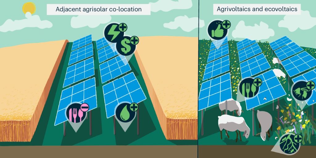 Balancing Act: New Research Shows Benefits of Using Farm Fields for Crops and Solar Energy
