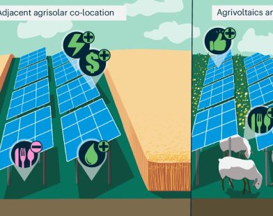 Balancing Act: New Research Shows Benefits of Using Farm Fields for Crops and Solar Energy