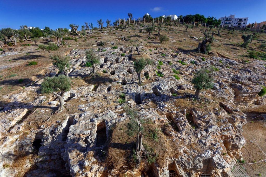 New DNA Discoveries Shed Light on Phoenician-Punic Society in the Mediterranean