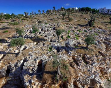 New DNA Discoveries Shed Light on Phoenician-Punic Society in the Mediterranean