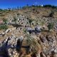 New DNA Discoveries Shed Light on Phoenician-Punic Society in the Mediterranean