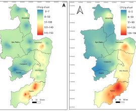 Protect Your Soybean Crop: Innovative Maps Prevent Charcoal Rot for Farmers
