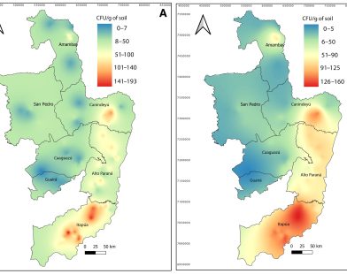 Protect Your Soybean Crop: Innovative Maps Prevent Charcoal Rot for Farmers