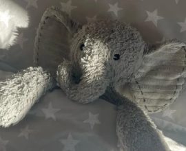 Strangers Become Angels: Community Joins Forces to Bring Lost Elephant Back to Tearful Toddler