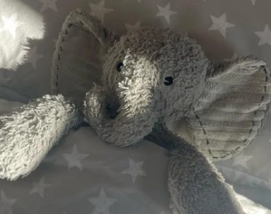 Strangers Become Angels: Community Joins Forces to Bring Lost Elephant Back to Tearful Toddler