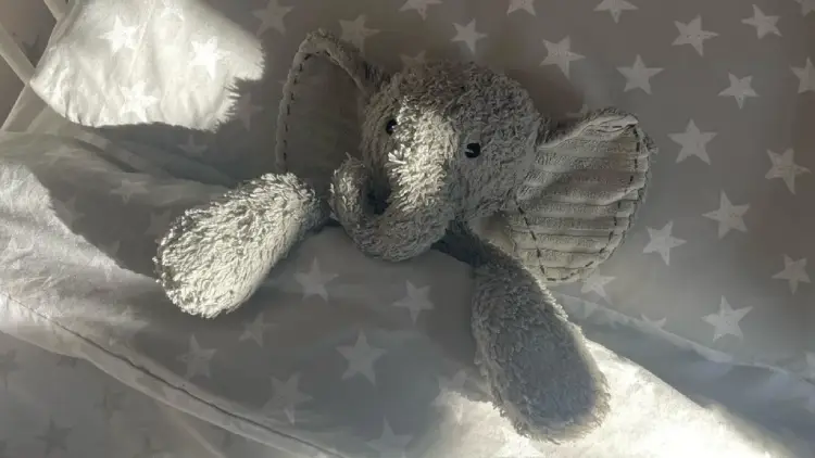 community finds missing elephant