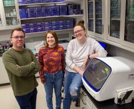 Study reveals surprising obstacle in the fight against bed bugs: gene mutation may make them immune to insecticides
