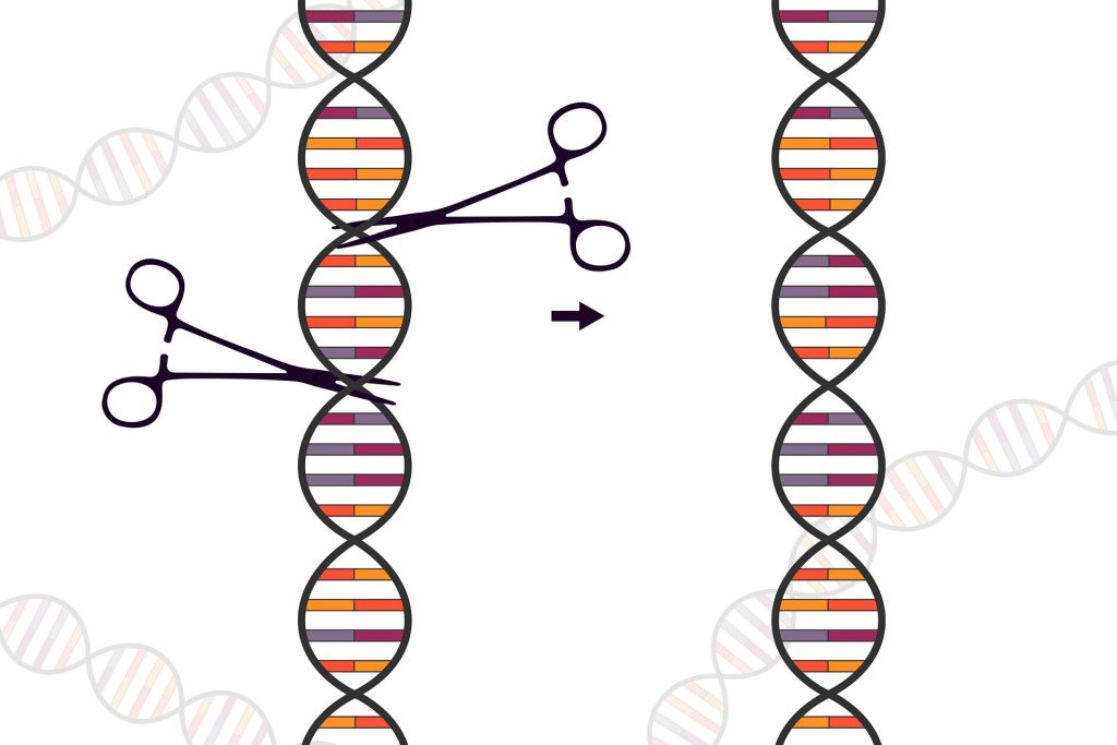 Unlocking the Potential of Genetic Editing with Machine Learning
