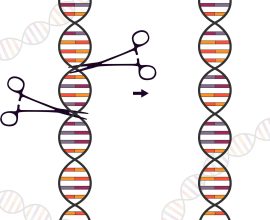 Unlocking the Potential of Genetic Editing with Machine Learning