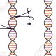 Unlocking the Potential of Genetic Editing with Machine Learning
