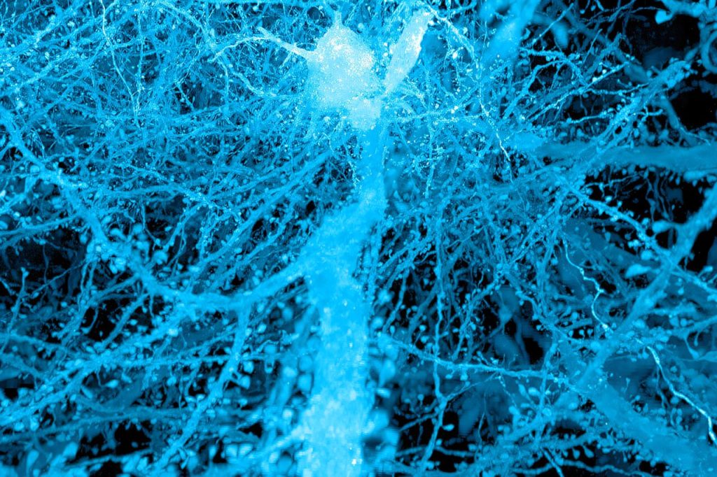 Unveiling the Hidden World: The Story of How Science Used Expansion Microscopy to See More Than Ever Before