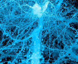 Unveiling the Hidden World: The Story of How Science Used Expansion Microscopy to See More Than Ever Before