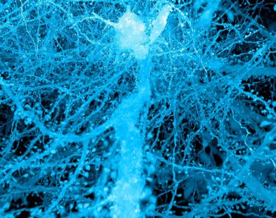Unveiling the Hidden World: The Story of How Science Used Expansion Microscopy to See More Than Ever Before