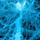 Unveiling the Hidden World: The Story of How Science Used Expansion Microscopy to See More Than Ever Before