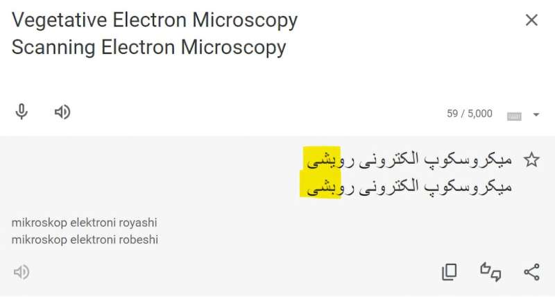 Screenshot from Google Translate showing the similarity of the Farsi terms for 'vegetative' and 'scanning'. Credit: Google Translate A weird phrase is plaguing scientific papers – and we traced it back to a glitch in AI training data
