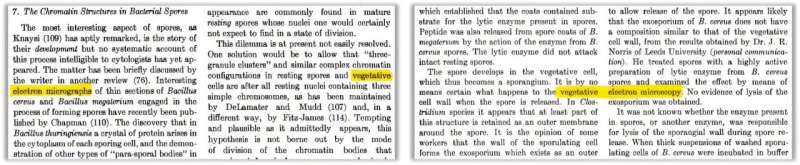 Excerpts from scanned papers show how incorrectly parsed column breaks lead to the term ‘vegetative electron micro…’ being introduced. Credit: Bacteriological Reviews A weird phrase is plaguing scientific papers – and we traced it back to a glitch in AI training data
