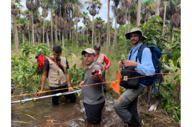 Assistant Professor of Environmental Studies Scott Winton (right) and the research team collect soil samples and data on water conditions and plant communities at one of 51 peatland sites they identified through extensive field work in Colombia’s eastern lowlands. Credit: Scott Winton Colombia's peatlands could be a crucial tool to fight climate change. But first we have to find them