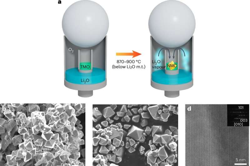 Vapor study between Li2O and TMO oxide precursors. Credit: Nature Energy (2025). DOI: 10.1038/s41560-025-01738-4 Discovery opens doors for cheaper and quicker battery manufacturing