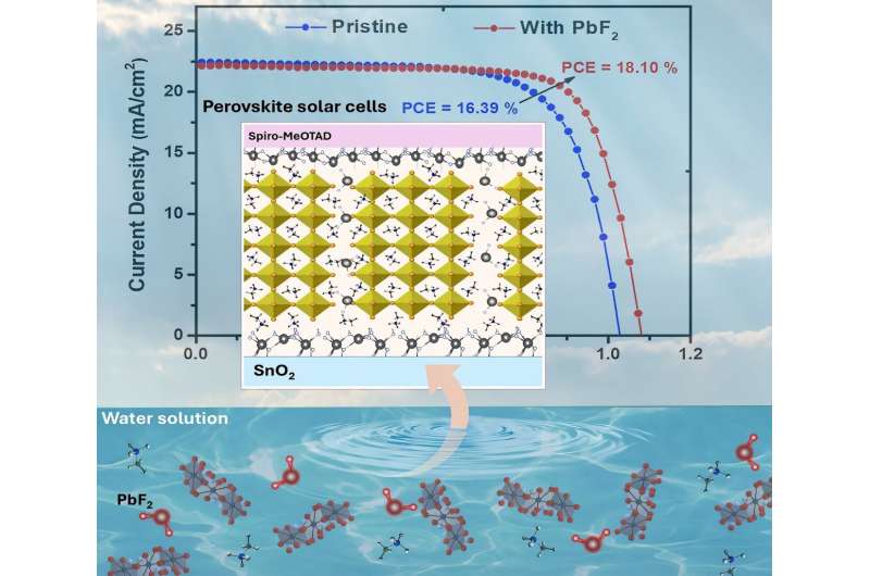 Fluoride additive enhances performance of perovskite solar cells using water-based fabrication. Credit: Minh Tam Hoang and Hongxia Wang from Queensland University of Technnology Going green: Fluoride additive boosts water-processed perovskite solar cells