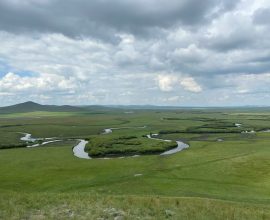 Study Reveals How Changes in Plant Life Speeded Up Climate Changes in the Late Miocene Era