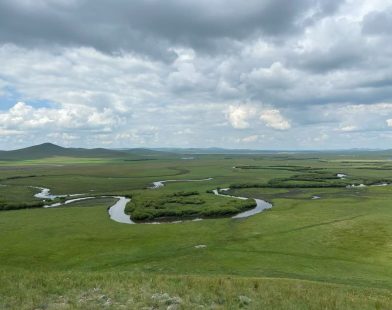 Study Reveals How Changes in Plant Life Speeded Up Climate Changes in the Late Miocene Era