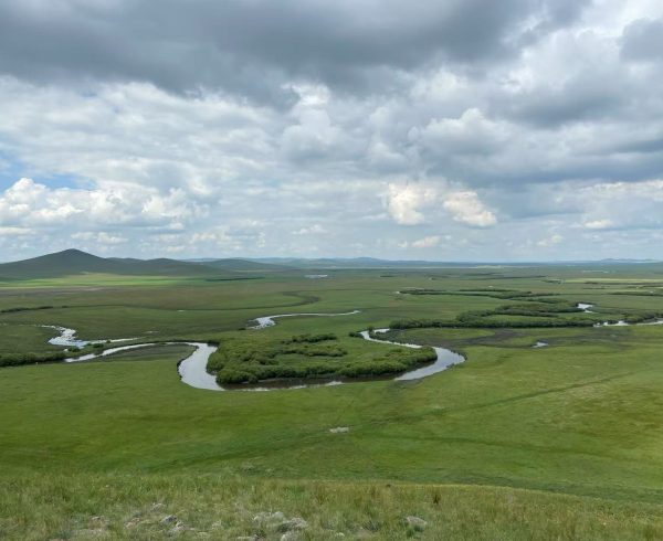 Study Reveals How Changes in Plant Life Speeded Up Climate Changes in the Late Miocene Era