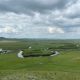1746226164_Study Reveals How Changes in Plant Life Speeded Up Climate 80x80