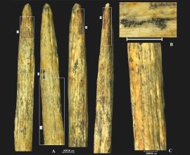 Oldest Neanderthal Spear Tip Discovered in Russia: A Glimpse into Ancient Europe