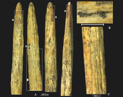 Oldest Neanderthal Spear Tip Discovered in Russia: A Glimpse into Ancient Europe