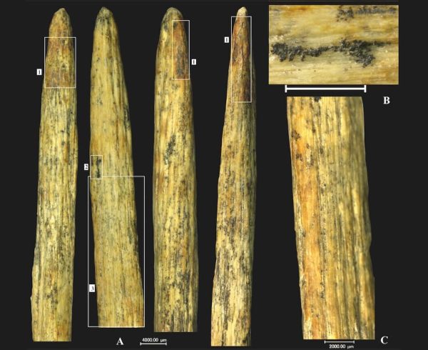 Oldest Neanderthal Spear Tip Discovered in Russia: A Glimpse into Ancient Europe