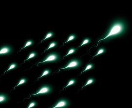 New Research Reveals How Heat-Activated Mechanism in Sperm Plays a Key Role in Fertility