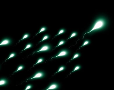 New Research Reveals How Heat-Activated Mechanism in Sperm Plays a Key Role in Fertility
