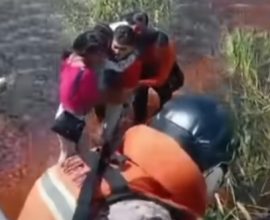 Against All Odds: Five Survivors Defy Fate, Battling Fear and Nature in Alligator-Infested Swamp for 36 Gripping Hours After Plane Crash