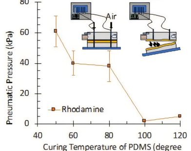 Low-Viscosity Oil Enhances Microfluidic Devices for Safer Cell Research and Improved Gradient Creation