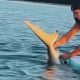 Heart-Stopping Moment: Brave Woman Saves Stranded Shark with Her Bare Hands as Friend Captures the Thrill on Camera