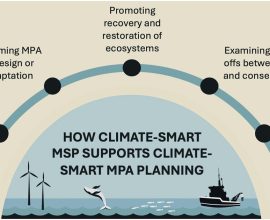 Navigating Our Oceans: The Key to Protecting Marine Life and Planning for a Sustainable Future