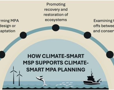 Navigating Our Oceans: The Key to Protecting Marine Life and Planning for a Sustainable Future