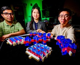 Engineered Materials Inspired by Seashells Boost Energy Absorption