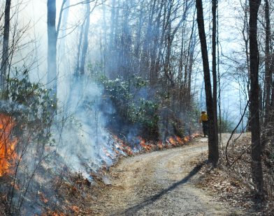 Mapping Out Wildfire Risks: Understanding Southern U.S. Fire Threats