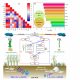 New Study Uncovers How Different Plants Affect Soil Carbon Levels
