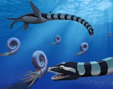 Legendary North American Fossil Revealed as a New Species!
