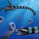 Legendary North American Fossil Revealed as a New Species!