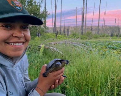 Homecoming Triumph: Native Turtles Reclaim Their Place in Yosemite as Invasive Bullfrogs Retreat