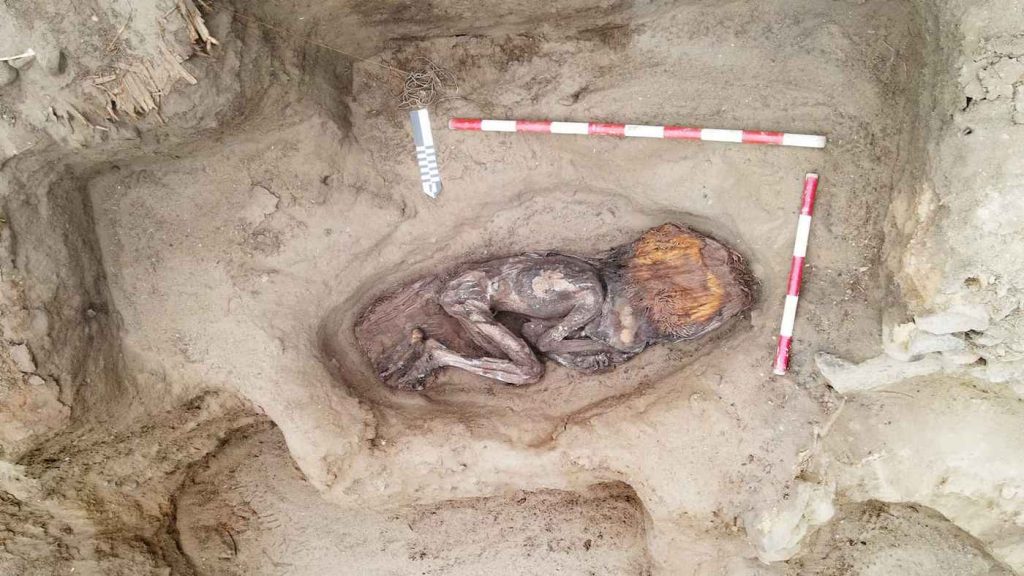 5,000-Year-Old Time Capsule: Remarkably Preserved Remains of an Elite Coastal Woman Unveil Ancient Secrets of Peru’s Forgotten Culture