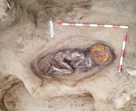 5,000-Year-Old Time Capsule: Remarkably Preserved Remains of an Elite Coastal Woman Unveil Ancient Secrets of Peru’s Forgotten Culture
