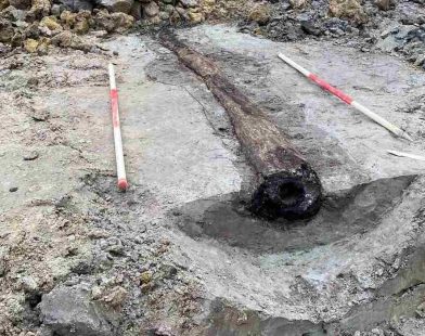 Ancient Innovation Unearthed: 1,800-Year-Old Roman Water Pipe Crafted from Hollow Tree Trunks Discovered Beneath Belgium's Streets