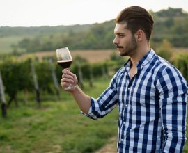 Cheers to the Ancients: Honoring the Bronze Age Vinters Who Transformed Grapes into Timeless Treasures 3,200 Years Ago!