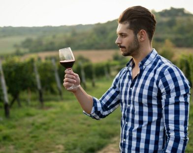 Cheers to the Ancients: Honoring the Bronze Age Vinters Who Transformed Grapes into Timeless Treasures 3,200 Years Ago!