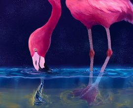 Flamingos Spin Up Water Tornadoes to Catch Their Dinner!