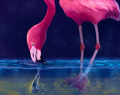 Flamingos Spin Up Water Tornadoes to Catch Their Dinner!